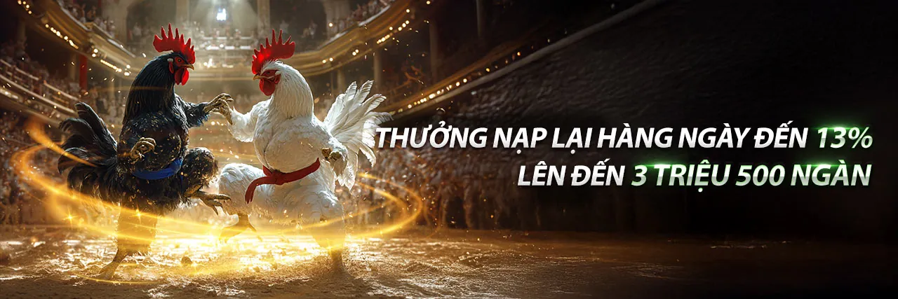 Đá Gà f8bey win - Sân đấu trực tuyến sôi động